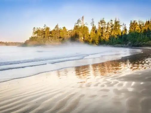 Tofino.jpg