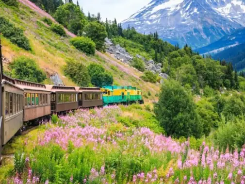 The-White-Pass-and-Yukon-Route-Skagway-Alaska.jpg