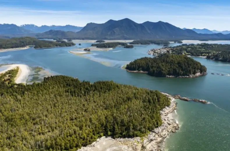 Aerial-view-of-Tofino-Vancouver-Island-BC.jpg