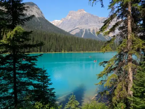 iStock-535769881_Emerald_Lake_Yoho_National_Park_BC.jpg