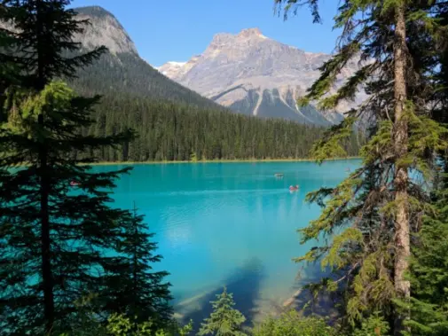 iStock-535769881_Emerald_Lake_Yoho_National_Park_BC.jpg