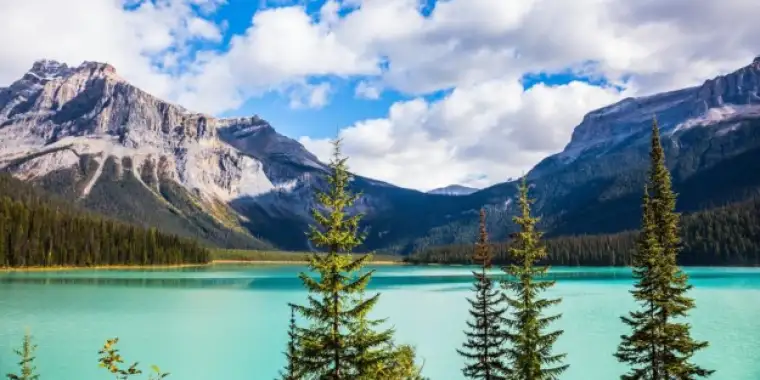 Emerald Lake surrounded by forest