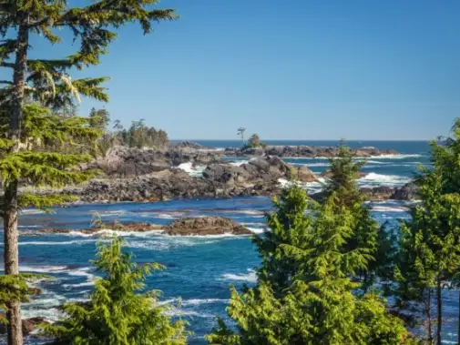 iStock-485766374_Ucluelet.jpg