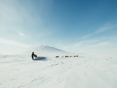 Huskies