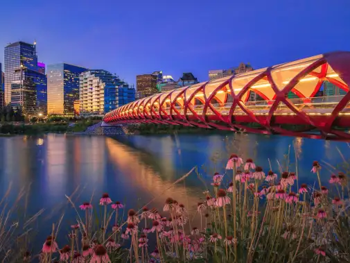 istock-1266130268.jpg