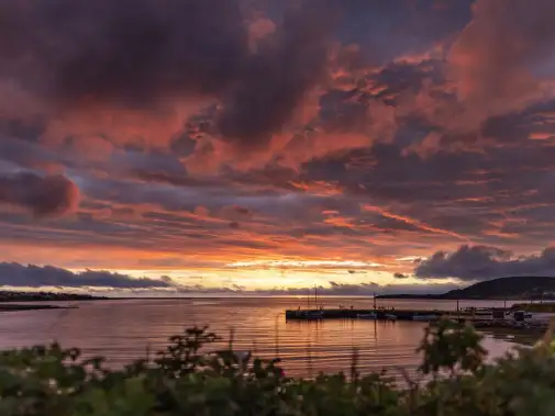 rockyharbour-medium.jpg