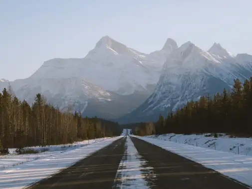 icefield-parkway-t17-019036---medium-res-jpg.jpg