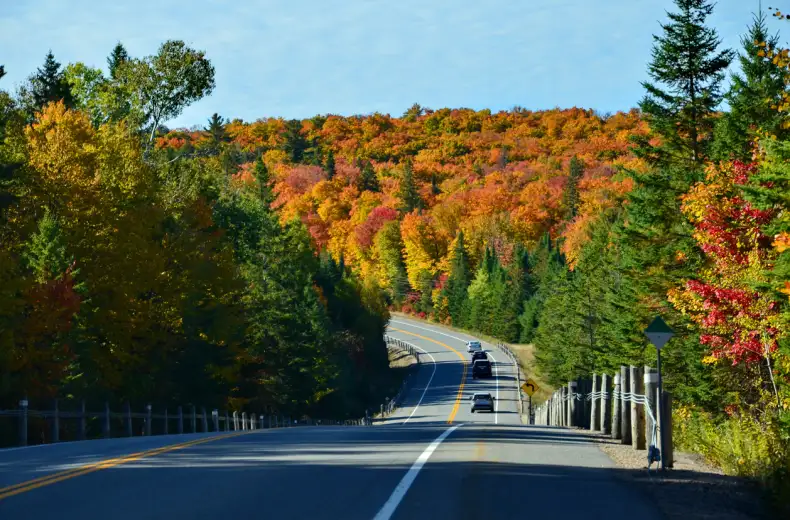 istock-1430148179_algonquin_provincial_park.jpg
