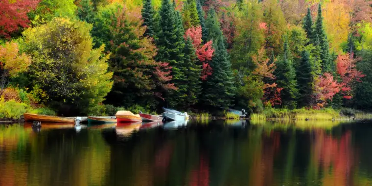 Canoes sitting on a lake in Algonquin Park in autumn
