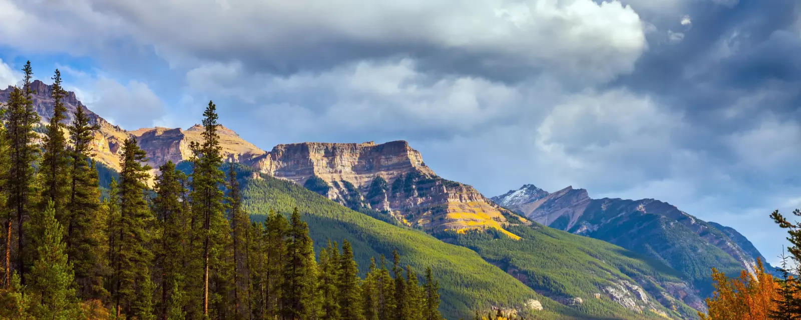 Need Holiday Ideas?