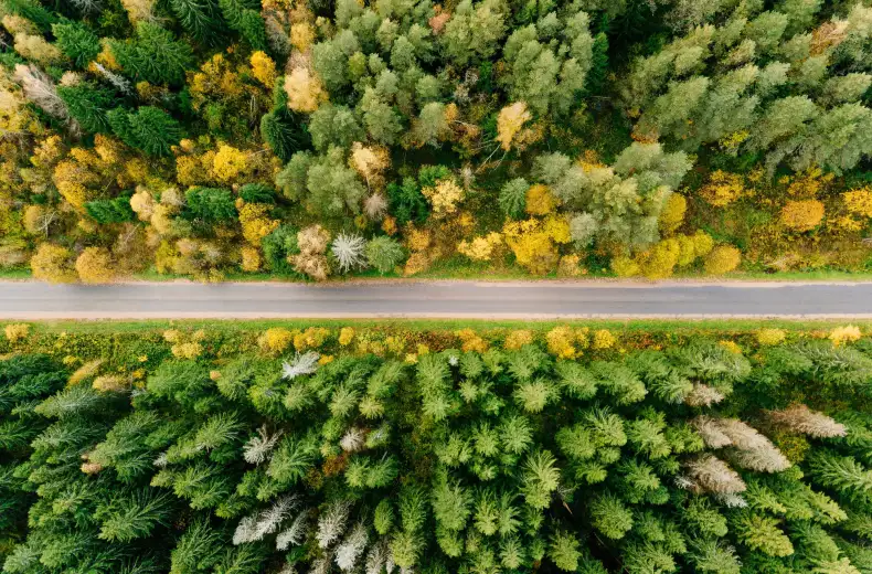 istock-878372926.jpg
