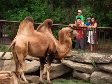 A family visiting Calgary Zoo
