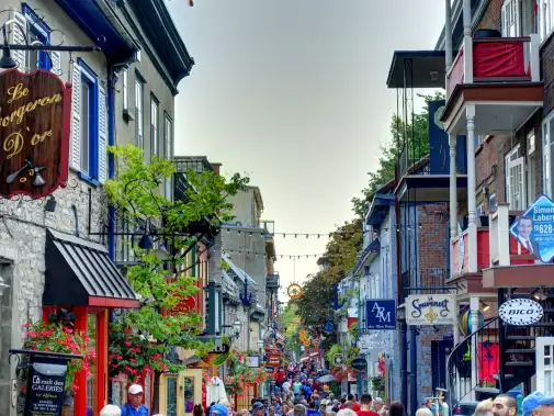 istock-1153225129.jpg