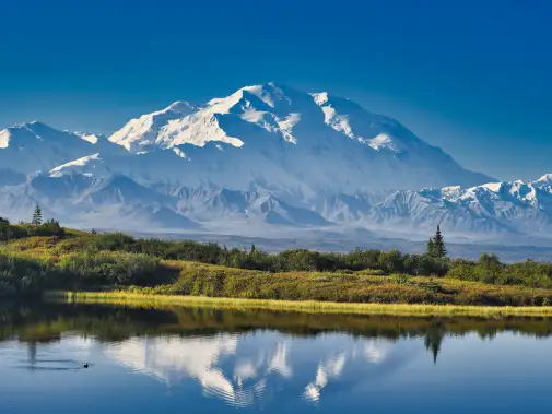 istock-1320222457.jpg