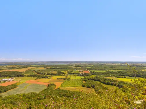 istock-177641011.jpg