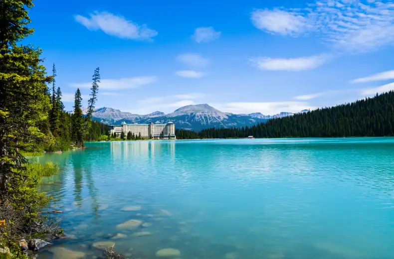 istock-517930235.jpg