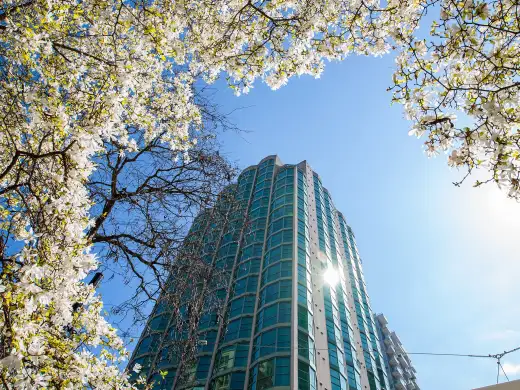 Rosedale on Robson