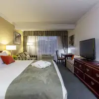 Standard (1 King Bed)
