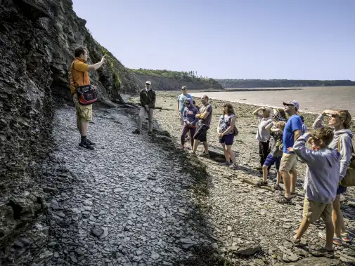 ns-joggins-fossil-cliffs.jpg
