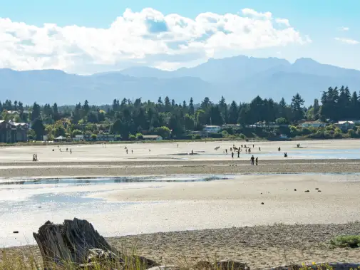parksville.jpg