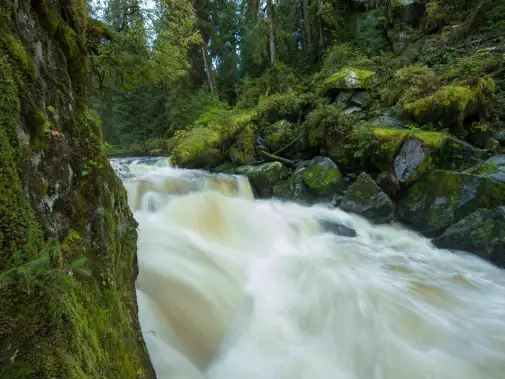 sbn_abc_rsay17_anan-creek_waterfall_wrangell_alaska.jpg