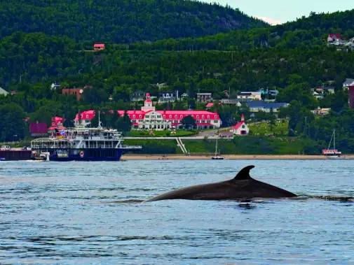 tq-009022-tadoussac.jpg
