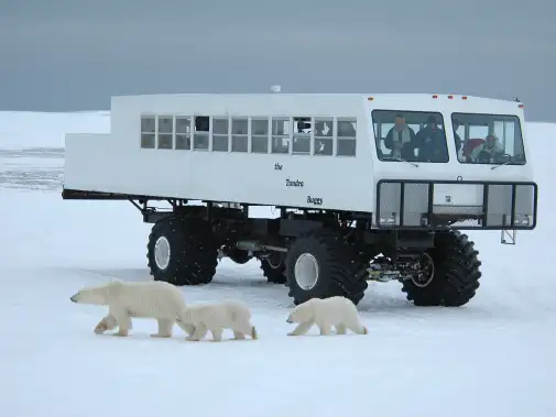 tundra-buggy-1.jpg