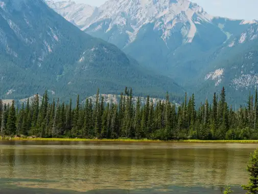 website-banner-yellowhead-highway-scenery-jasper-national-park-alberta-canada---1218982896.jpg