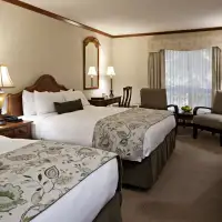 Deluxe