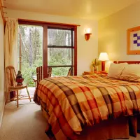 Ground Floor Forest Room