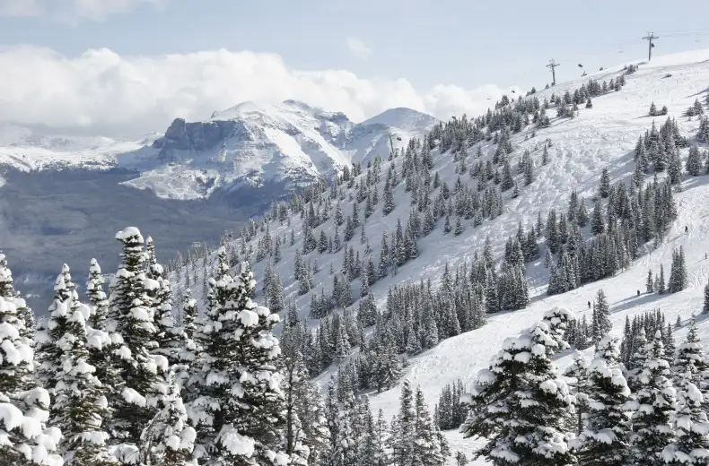 skisnowboard_marmotbasin-3.jpg