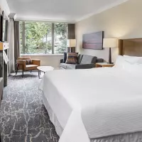 Deluxe Studio Suite