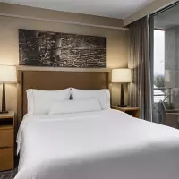 1 Bedroom Suite