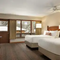 Deluxe (2 Beds)