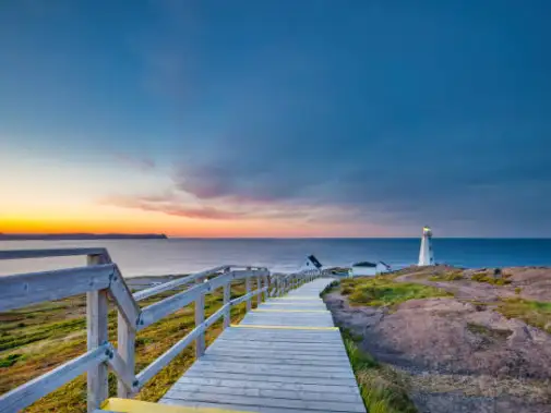 istockphoto-1267383344-612x612.jpg