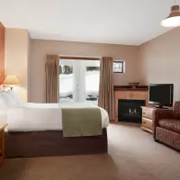Premium Suite