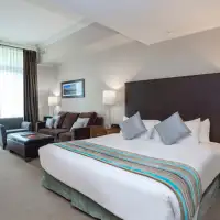 Studio Suite