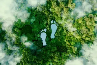 Aerial view of a lake in the shape of giant human footprints in the middle of a lush green forest