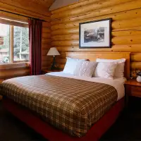 Deluxe Log Cabin (1 Bed Plus Sofa)