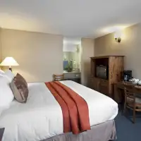Standard (1 Bed)