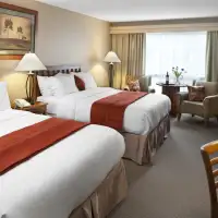 Standard (2 Beds)