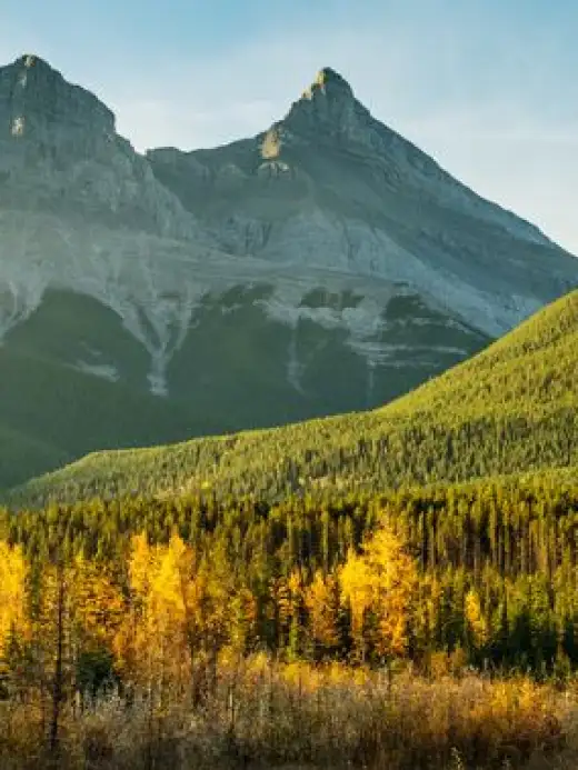 Canmore Holidays