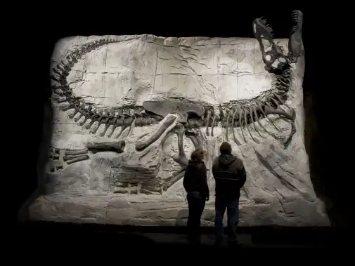 drumheller-01.jpg