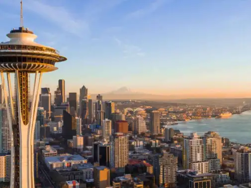 jpeg-optimizer_vs_zoom-background_space-needle.jpg