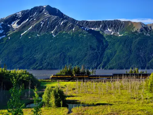 coastal-classic-train---turnagain-arm-2---pc-teresa-severson.jpg