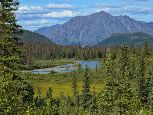 denali-national-park.jpg