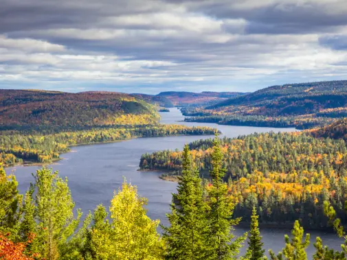 istock-854098830.jpg
