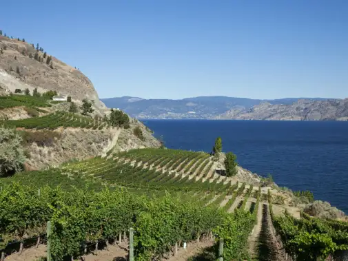 rdvtour_okanaganlake.JPG