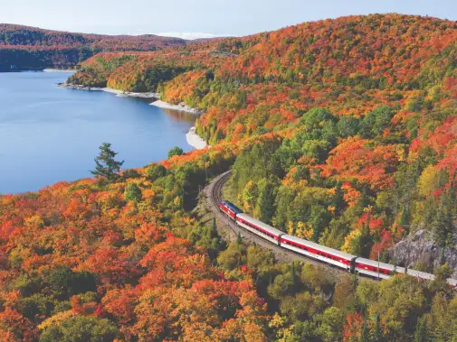 tourtrain2016-cmyk.jpg
