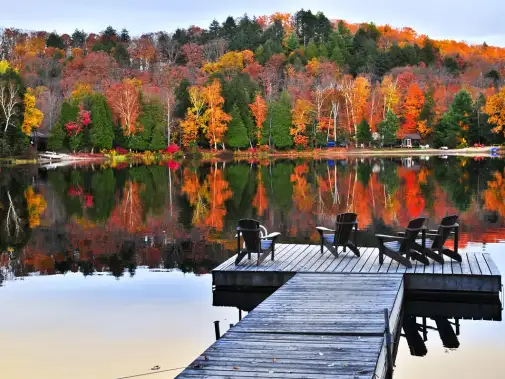 a-dock-in-algonquin.jpg
